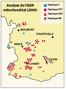 Types génétiques (lignées C ou M) des colonies étudiées dans le sud-Hainaut (d'après Garnery)