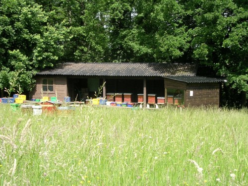 Rucher de l'école d'apiculture à l'Aquascope