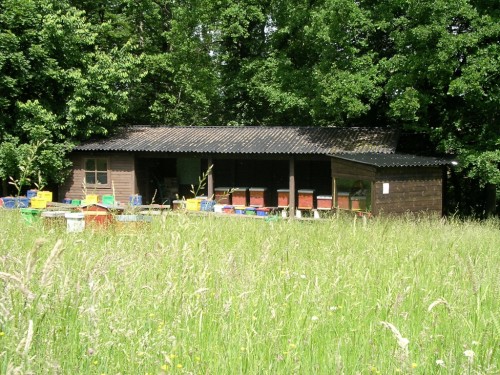 Rucher de l'école d'apiculture à l'Aquascope